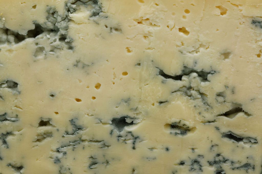 Is it safe to eat moldy cheese? Adams Cheese Shop