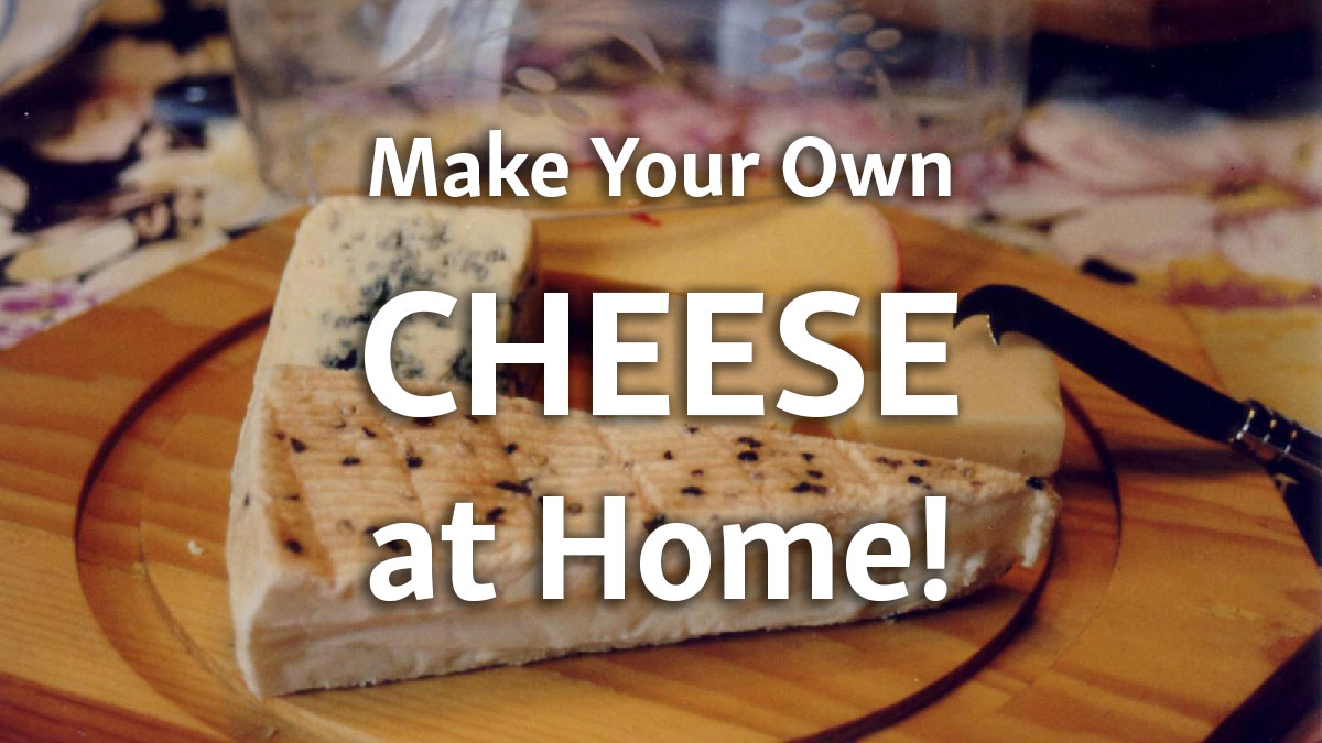 How to Get Started with Cheese Making Books and DIY Kits to Make Your