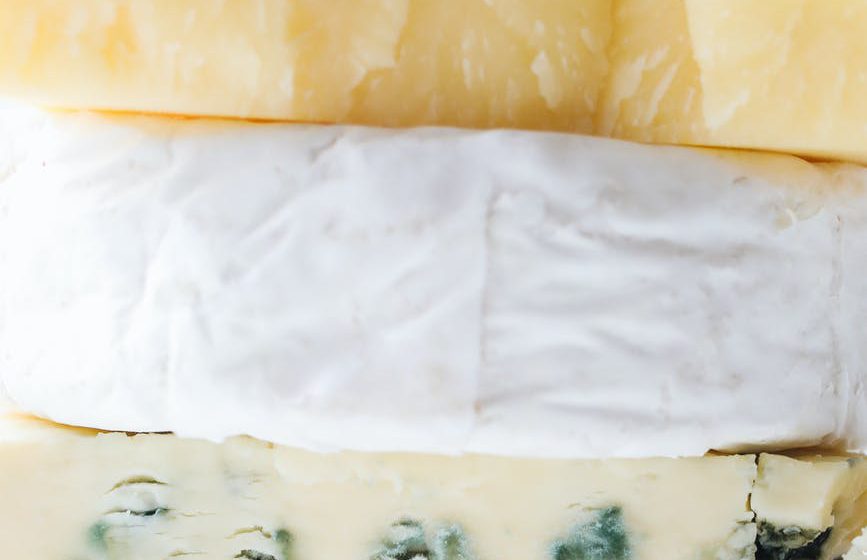 close up photo of assorted cheese