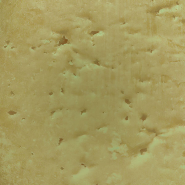 Extreme closeup of BerleBerg cheese.