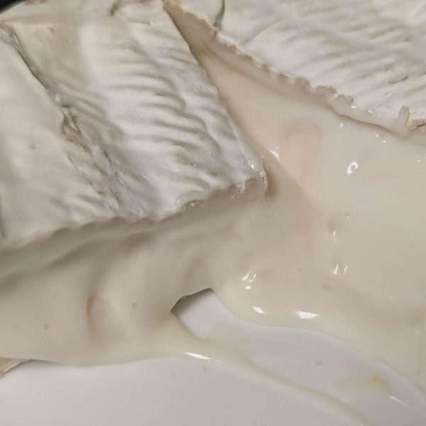 A closeup of New Moon Goat Brie, cut, oozing out of the rind.