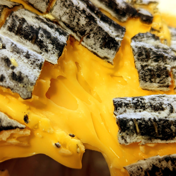 Closeup of the bright yellow-orange paste of Moses Reaper cheese.