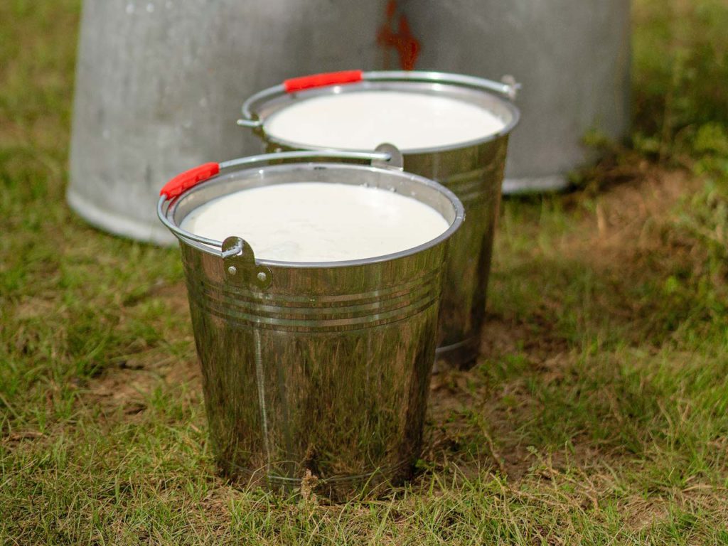 Two buckets of white milk and cans cans in the background.