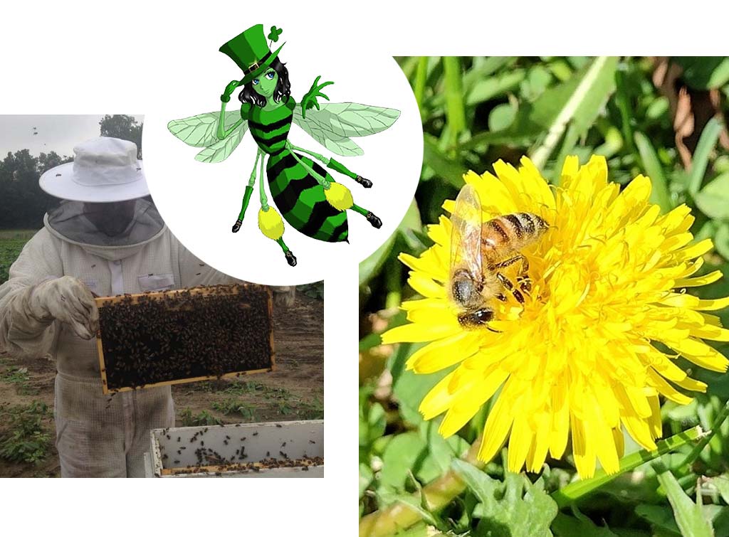 Collage of Irish Bee imagery.