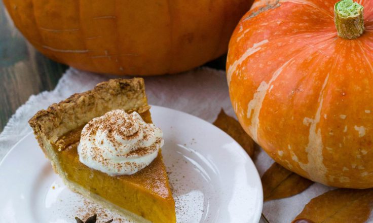 Delectable sliced pumpkin pie on a white ceramic plate.