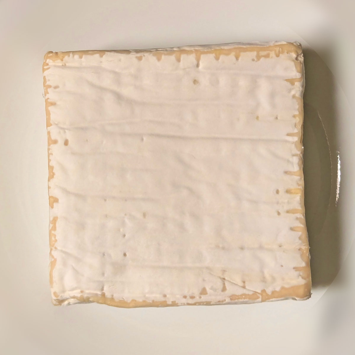 A block of Hudson Valley Camembert.