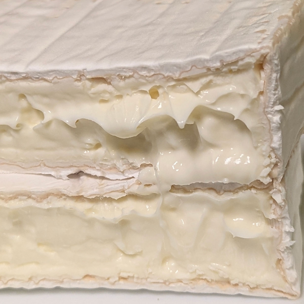 A closeup of a block of Hudson Valley Camembert, cut down the middle.
